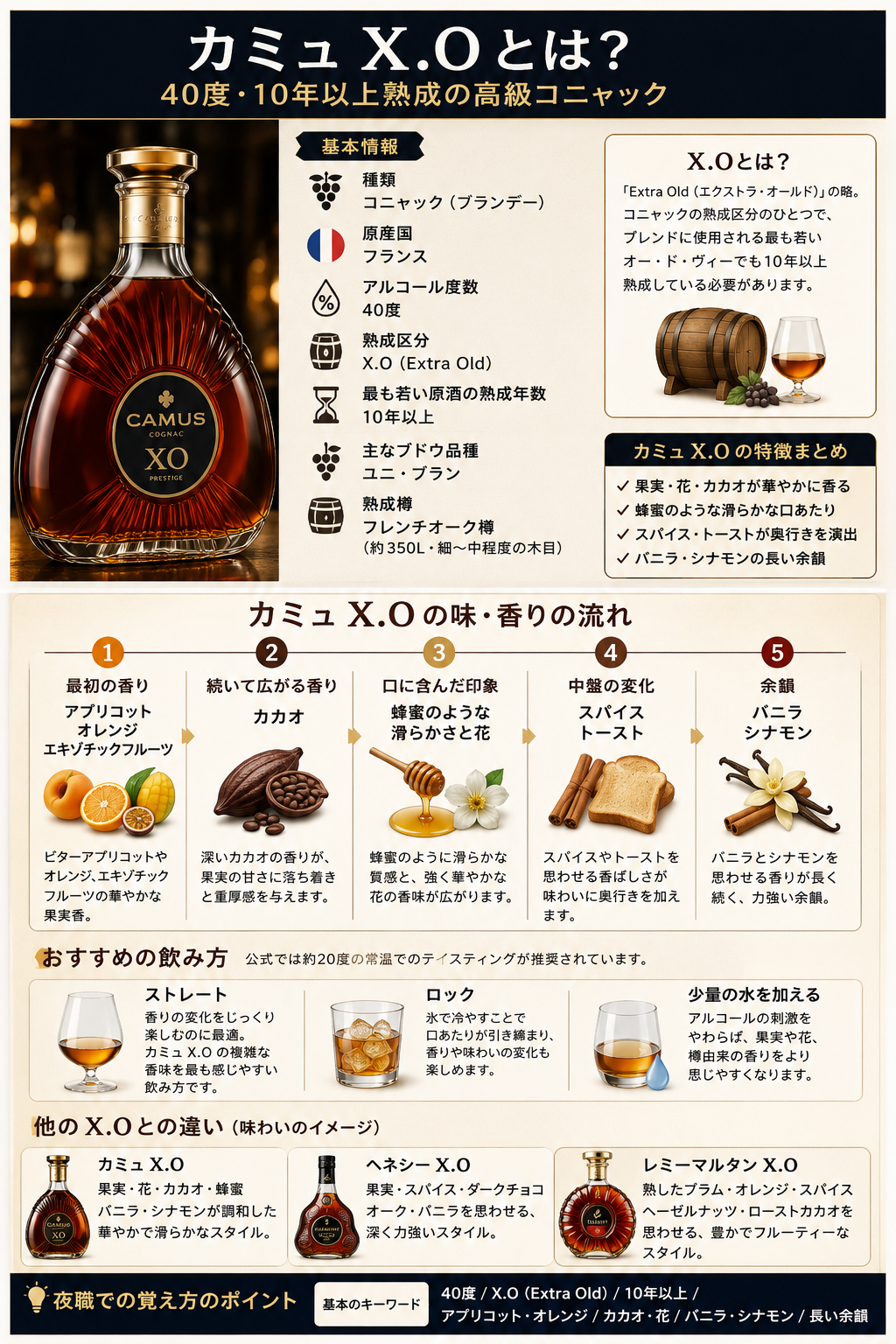 カミュX.Oの40度・10年以上熟成・ウニブラン・フレンチオーク・味と香り・おすすめの飲み方・他のX.Oとの違いをまとめた図解