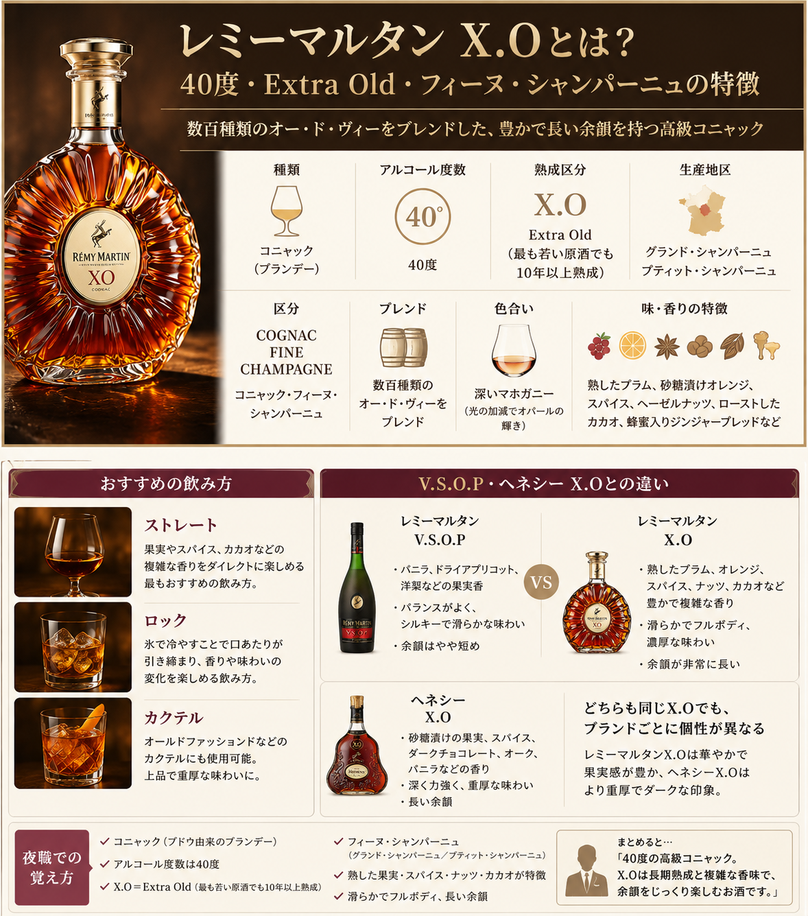 レミーマルタンX.Oの40度・Extra Old・フィーヌ・シャンパーニュ・味と香り・飲み方・他銘柄との違いをまとめた図解